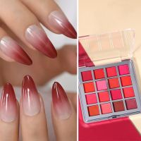 【CW】 16Colour Nails Powders Gradient Pigments Hot Pink Ombre Design Manicure Glitters Eyeshadow Plate Set  JBF