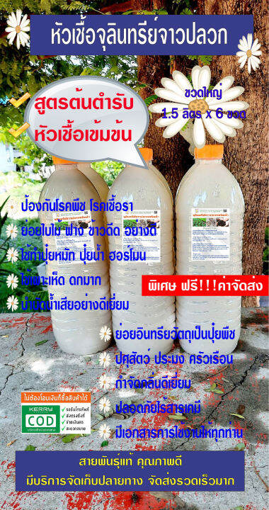 หัวเชื้อจุลินทรีย์จาวปลวก-ขนาด-1-5-ลิตร-ขวดใหญ่-6-ขวด-เข้มข้น-ส่งฟรีเคอรี่-จุลินทรีย์ที่ดี-ป้องกัน-กำจัดโรคเชื้อราในพืช