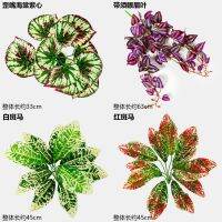 hyfvbujh❦❣☇  Artificial Wall Decoration Comosum Pteridium Chlorophytum for