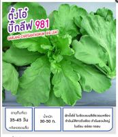 เมล็ดพันธุ์ ตั้งโอ๋ ตังโอ๋ บิ๊กลีฟ - Garland Chrysanthemum Big Leaf ตราดอกแตง เมล็ดพันธุ์คุณภาพ "เพื่อนเกษตรกร"