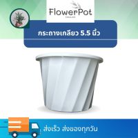 กระถางต้นไม้ 5.5 นิ้ว มินิมอล กระถางเกลียว กระถางปลูกต้นไม้