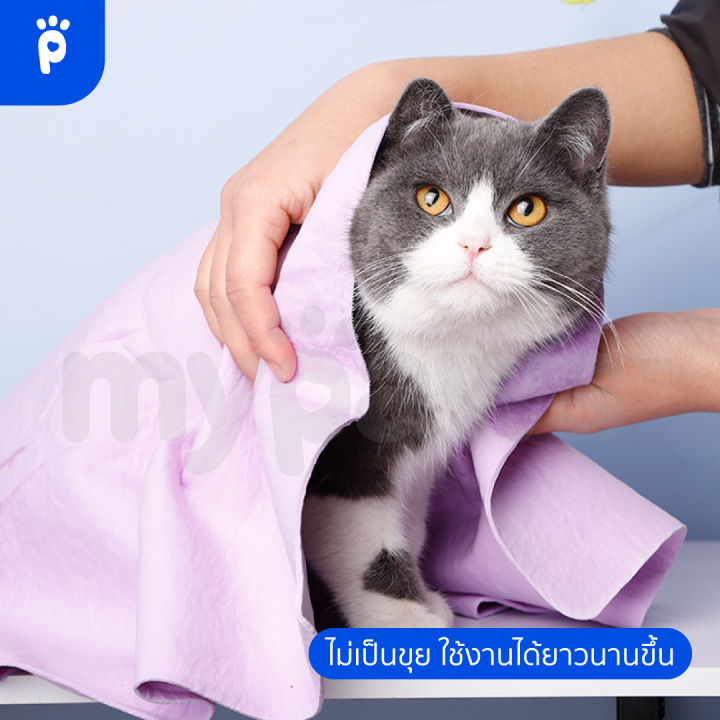 my-paws-ผ้าเช็ดตัวสัตว์เลี้ยง-ผ้าชา-มัวร์