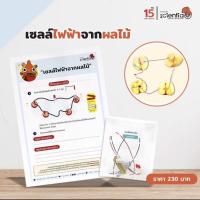 Scientia ชุดการทดลอง เซลล์ไฟฟ้าผลไม้