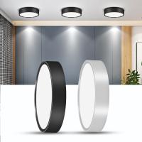 Led Downlight Ceiling Spot Light Ceiling Lamp 5/10/15/25W Surface Mounted light Spot Led Lamp For Living room Bathroom Kitchen  by Hs2023