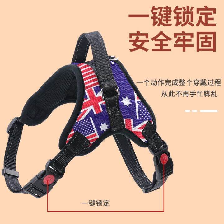 อุปกรณ์สำหรับสัตว์เลี้ยง-amazon-explosive-pet-harness-leash-set-ชุดสายรัดสำหรับสัตว์เลี้ยงป้องกันการระเบิด