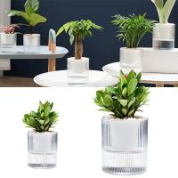 High-auality Plant Self-watering Pot with Water Container Round Decorative FlowerPot and Planter for Garden Home Decoration