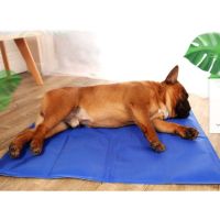 Boqi factory Pet Cool mat แผ่นเจลเย็น ที่นอนเย็น เบาะนอนเย็น สำหรับสุนัขและแมว A0003 50*65 cm