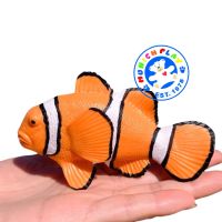 Munich Play - โมเดล Clownfish ปลาการ์ตูน เหลือง ขนาด 11.00 CM (จากหาดใหญ่)