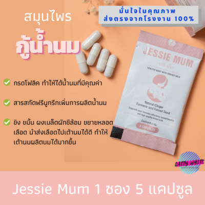 JESSIEMUM เจสซี่มัม 5 แคปซูล 1 ซอง อาหารเสริมเพิ่มน้ำนม สมุนไพรแท้100% ทำสต็อกนมเต็มตู้ อาหารเสริม แบบทดลองJESSIE MUM