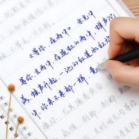 【cw】 Handwriting Practice Copybook Set Adult Hard Calligraphy Exercise Book for Chinese 03 【hot】