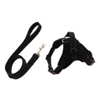 Dog Harness Leash Set Adjustable Breathable Dog Cat Collar Vest Harness for Dog Puppy Pet Chest Strap Dog Accessories Black