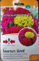 เมล็ดพันธุ์ ดอกไม้ ไม้ดอก ดอกหงอนไก่ ?ไดอานา มิกซ์ ?หมดอายุ08/11/2566?บรรจุ40 เมล็ด