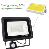 Super Bright Led Flood Light Outdoor With Motion Sensor 10W 20W 30W 50W PIR Led Spotlight Outdoor IP66 Garden Projector Light