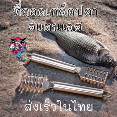 ราคาถุกสุด ที่ขูดเกล็ดปลา ที่ขอดเกล็ดปลา ไม้ขอดเกล็ด อุปกรณ์ขอดเกล็ดปลา ที่ถอดเกล็ดปลา สแตนเลส