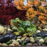 Mini Cute Resin Frogs Statue Bonsai Flowerpot Decoration Props For Desk Outdoor Garden Sculpture Decor Ornament Dropshipping