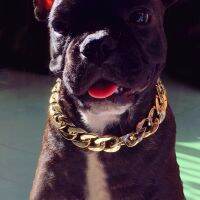 Fashion Dog Metal Chain Collar Gold Stainless Steel Cool Cuban Pet Bully Necklace Pet Gift New Arrival