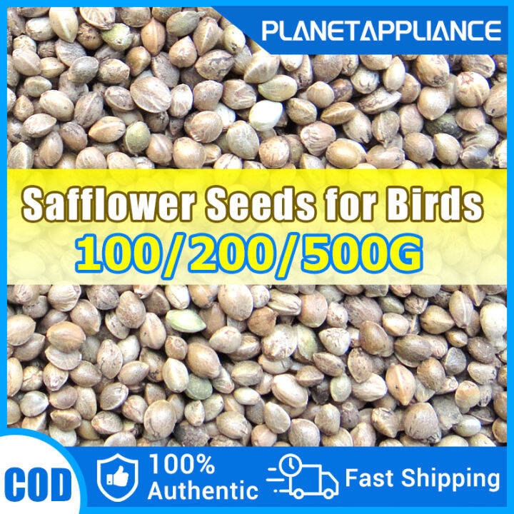 100/200/500g Hemp seed Bird feed seeds for pigeon parrot lovebirds