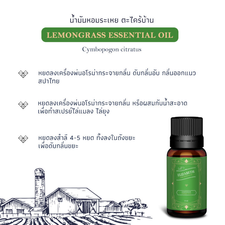 น้ำมันหอมระเหย-ตะไคร้-lemongrass-essential-oil-10-30-ml-น้ำหอมอโรม่า-น้าหอมเครื่องพ่นอโรม่า