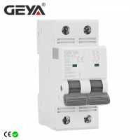 จัดส่งฟรี GEYA GYM9 Double Phase Mini Circuit Breaker DP MCB Ture Cureent 80A 100A 125A 2P กว้าง35.6มม. 400V 6KA