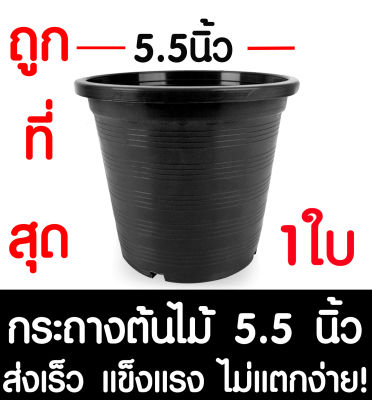 กระถางต้นไม้ กระถางพลาสติก ขนาด 5.5 นิ้ว 1ใบ กระถางกลม กระถางต้นไม้พลาสติก กระถางปลูกต้นไม้ กระถางดำ กระถางพลาสติกดำ Flower pot