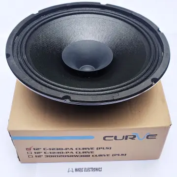 Speaker curve deals 18 inch