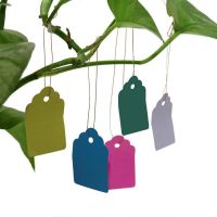【hot】▬✸◕  100pcs Tag Reusable Labels Brands Garden Pot Number Plate Markers Hanging Plastic