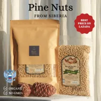 Pine Nuts from Siberian Forest. Organic | Raw | Premium Quality ไพน์นัท PineNuts ถั่วเม็ดสน เมล็ดสนจากไซบีเรีย คุณภาพทุกเม็ด