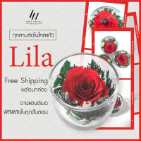 กุหลาบในโหลแก้ว สีแดง แก้วเล็กไลล่า ดอกกุหลาบ 1 ดอก Preserved Rose ของขวัญครบรอบ กุหลาบอมตะ ของขวัญให้แฟน