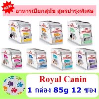 ห้ามพลาด สินค้า ส่งฟรี อาหารเปียกสุนัข Royal Canin สูตรพิเศษ 1 กล่อง (85g 12 ซอง)