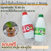 ปุ๋ยน้ำ AB ไฮโดรโปนิกส์ ชนิดเข้มข้น ขนาด 1 ลิตร Hydroponic ปุ๋ยน้ำ a b ผักสลัด ปุ๋ยไฮโดรโปนิกส์ ปุ๋ย AB (A 1 ลิตร B 1 ลิตร)