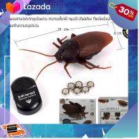 [ Gift เกมฝึกสมอง.เสริมสร้าง ] ANDATOY​ บังคับวิทยุ​ แมลงสาบ SINFRAED REMOTE CONTROL GIANT ROACH แมลงสาบ บังคับวิทยุ พร้อมถ่าน ZT009 .ของขวัญ Sale!!.