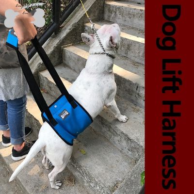 （PAPI PET）เข็มขัดเสริมสุนัขวัยสูงอายุกำลังเดินสุนัข,สายรัดป้องกันข้อหลังและขาสุนัขพิการ