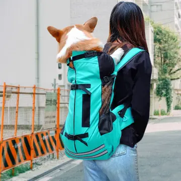 K9 sales backpack corgi