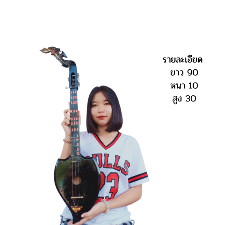 พิณโปร่งทรงใบโพธิ์-แถมฟรี-สายสำลอง-ปิค-คู่มือ-สายสะพาย-ส่งฟรี