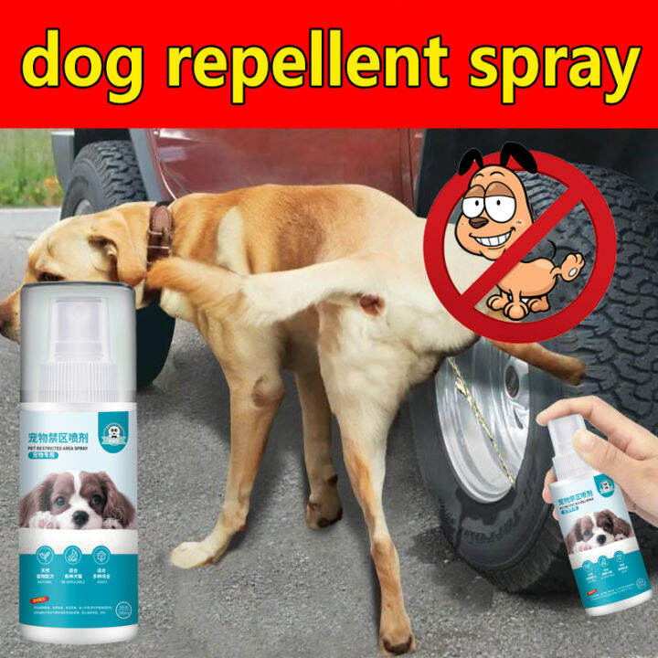 🔝LANG dog cat repellent spray pet repellant spray cat deterrent anti