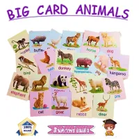 (เก็บโค้ดลด10%) Flash card สัตว์ป่ามหาสนุก แฟลชการ์ด Flash Card Animal การ์ดคำศัพท์พื้นฐาน บัตรคำ เสริมพัฒนาการ flashcard สัตว์น่ารัก