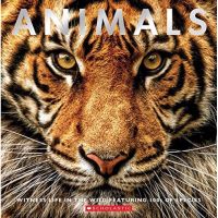 [หนังสือ] Animals: Witness Life in the Wild Featuring 100s of Species สัตว์ สัตว์ป่า animal english book