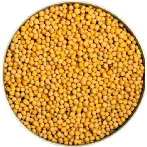 yellow-mustard-seeds-50-grams-to-1000-grams-เมล็ดมัสตาร์ดสีเหลือง