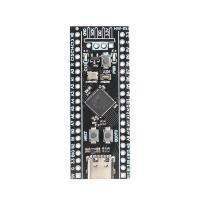 บอร์ดสาธิตมินิแผ่นแฟลช STM32F401/411บอร์ดพัฒนา,มาใหม่25MHZ + 32.768Hz 6PF คริสตัลออสซิลเลเตอร์ Type-C USB SWD อินเตอร์เฟซ USART