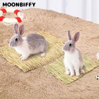 Rabbits Bunny Grass Mat Small Animal Woven Hay Mat Natural Straw Bedding Resting Cage Mat for Guinea Pig Chinchilla Hamster Rat