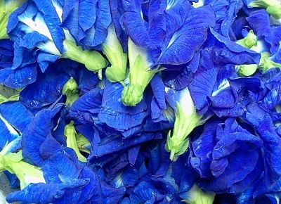 ขายส่ง 200 กรัม ดอกอัญชัญตากแห้ง Butterfly pea flower ออร์แกนิค ธรรมชาติ ปลอดสารเคมี สมุนไพร น้ำอัญชัญ ดอกอัญชัญทำขนม อัญชัญผง สีผสมอาหารธรรมชาติ