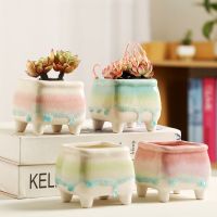 【CC】 Glaze Flowerpot Succulent Cactus Multicolor Garden Small Pot