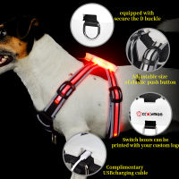 ปลอกคอ Led สุนัขแบบชาร์จไฟได้ปรับกระพริบ Rechargea Luminous Collar Night Anti-Lost Dog Light Harness Luminous Dog Collar