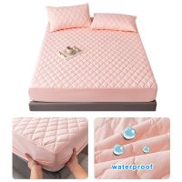 【hot】！ Super Thick and Warm Cotton Fitted Sheet with Elastic Bands Mattress Covers for Bed Luxury