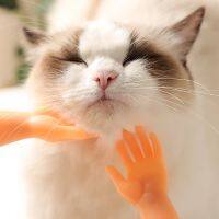 1Pair Funny Mini Finger Hands Cat Massage s Kawaii Little Hands Massage Head Body Interactive Toy Cat Grooming Supplies