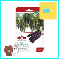 มะเขือยาวลูกผสม F1 มาเรีย ตราศรแดงHYBRID LONG EGGPLANT F1 MARIA SORNDAENG **ราคาดีที่สุด**