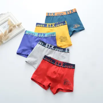 5PCS/Set Children Boy Underpants Cotton Soft Boxer Underwear for Kids