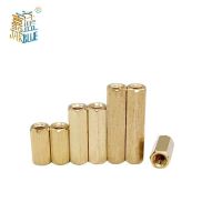 10pcs/lot Hex Female to Female M2 M2.5 M3 M4 M5 brass standoff spacer Hexagonal Stud Spacer Hollow Pillars Screw Nails  Screws Fasteners