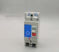 【LZ】 DC circuit breaker 12v 2P photovoltaic circuit breaker switch atmosphere switch defence tripping operation safety switch