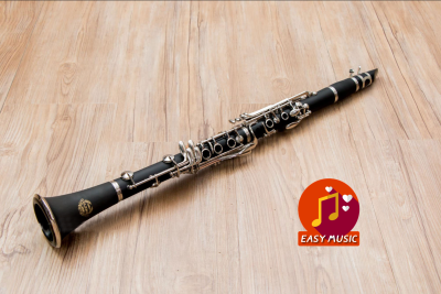 คลาริเน็ต Coleman Standard Clarinet